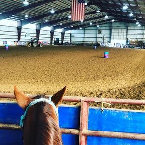 Meet your Posher, Sadie